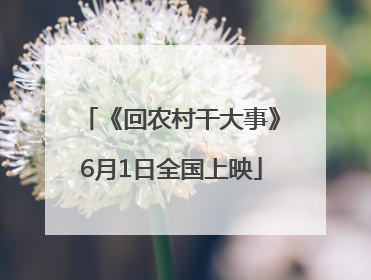 《回农村干大事》6月1日全国上映