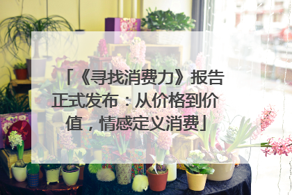 《寻找消费力》报告正式发布：从价格到价值，情感定义消费