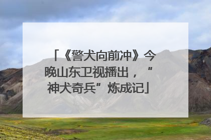 《警犬向前冲》今晚山东卫视播出，“神犬奇兵”炼成记