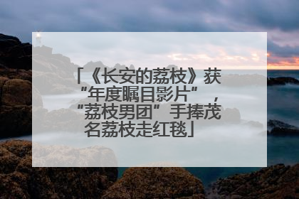《长安的荔枝》获“年度瞩目影片”，“荔枝男团”手捧茂名荔枝走红毯