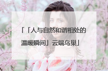 「人与自然和谐相处的温暖瞬间」云端鸟巢