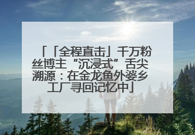 「全程直击」千万粉丝博主“沉浸式”舌尖溯源：在金龙鱼外婆乡工厂寻回记忆中