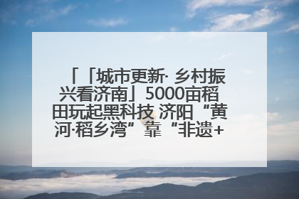 「城市更新· 乡村振兴看济南」5000亩稻田玩起黑科技 济阳“黄河·稻乡湾”靠“非遗+露营”火出圈