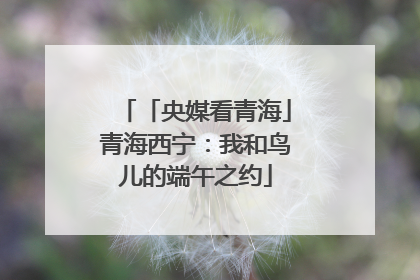 「央媒看青海」青海西宁：我和鸟儿的端午之约