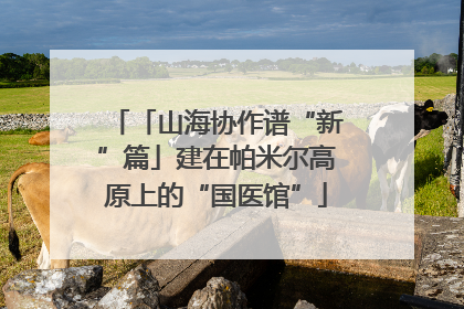 「山海协作谱“新”篇」建在帕米尔高原上的“国医馆”
