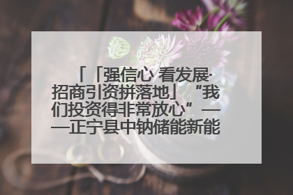 「强信心 看发展·招商引资拼落地」“我们投资得非常放心”——正宁县中钠储能新能源项目建设见闻