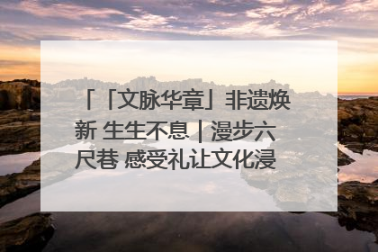 「文脉华章」非遗焕新 生生不息｜漫步六尺巷 感受礼让文化浸润的“巷”往生活