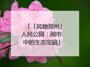 「风物郑州」人民公园：闹市中的生态宝藏