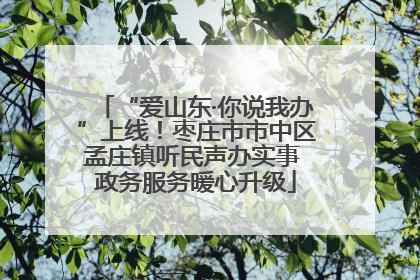 “爱山东·你说我办”上线！枣庄市市中区孟庄镇听民声办实事 政务服务暖心升级