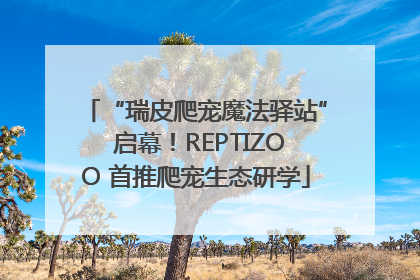 “瑞皮爬宠魔法驿站” 启幕！REPTIZOO 首推爬宠生态研学