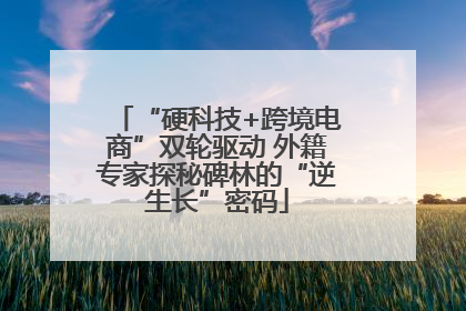 “硬科技+跨境电商”双轮驱动 外籍专家探秘碑林的“逆生长”密码