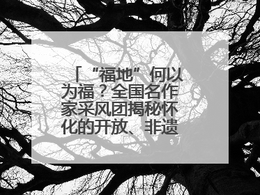 “福地”何以为福？全国名作家采风团揭秘怀化的开放、非遗与红色密码