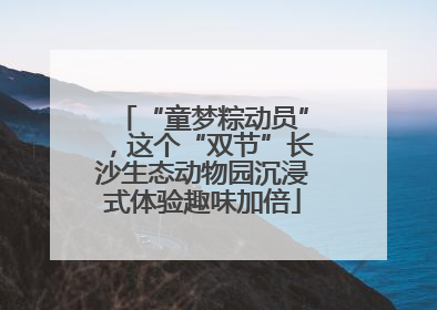 “童梦粽动员”，这个“双节”长沙生态动物园沉浸式体验趣味加倍