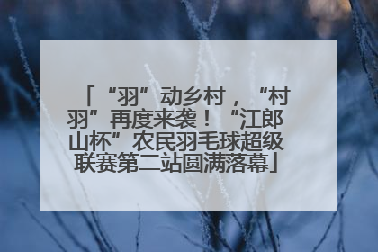 “羽”动乡村，“村羽”再度来袭！“江郎山杯”农民羽毛球超级联赛第二站圆满落幕