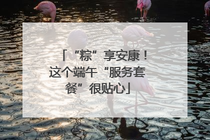 “粽”享安康！这个端午“服务套餐”很贴心