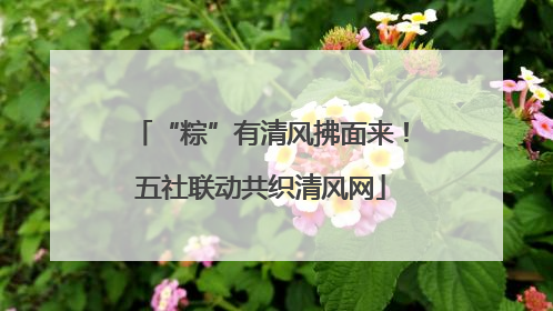 “粽”有清风拂面来！五社联动共织清风网