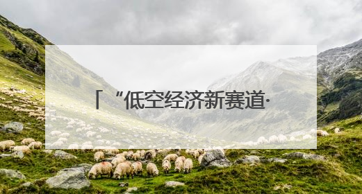 “低空经济新赛道·管理赋能产业升级”活动在萍乡安源启动