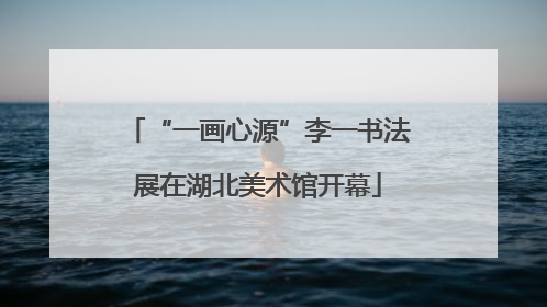 “一画心源”李一书法展在湖北美术馆开幕