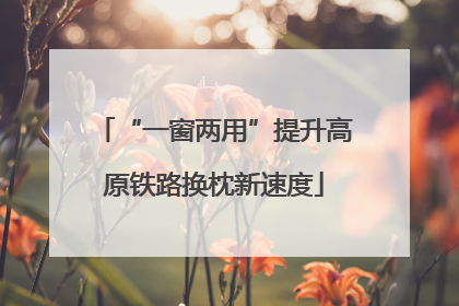 “一窗两用”提升高原铁路换枕新速度