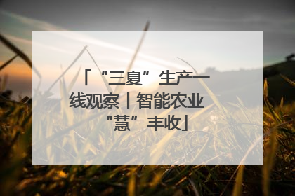 “三夏”生产一线观察丨智能农业“慧”丰收