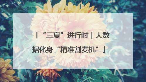 “三夏”进行时｜大数据化身“精准割麦机”