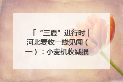 “三夏”进行时｜河北麦收一线见闻（一）：小麦机收减损“竞技” 农机高手麦田“过招”