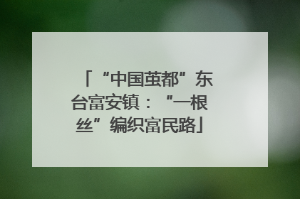 “中国茧都”东台富安镇：“一根丝”编织富民路