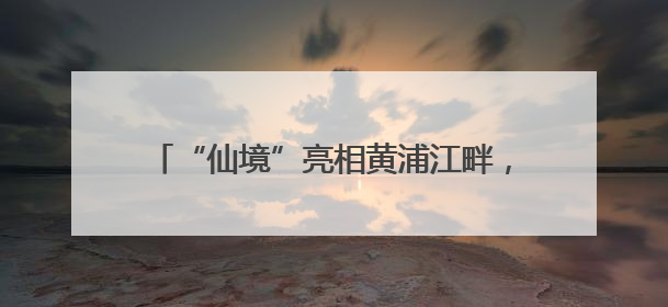 “仙境”亮相黄浦江畔，三大优惠游玩政策等你来