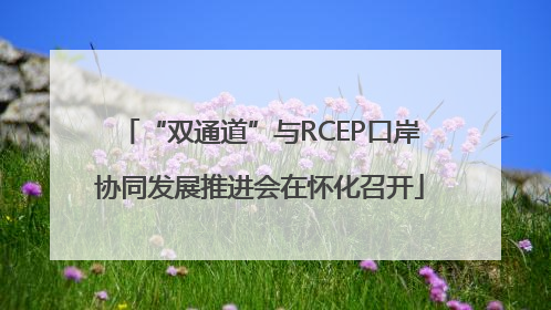 “双通道”与RCEP口岸协同发展推进会在怀化召开