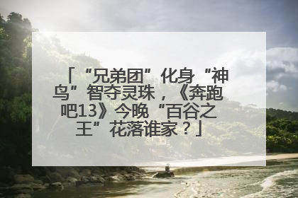“兄弟团”化身“神鸟”智夺灵珠，《奔跑吧13》今晚“百谷之王”花落谁家？