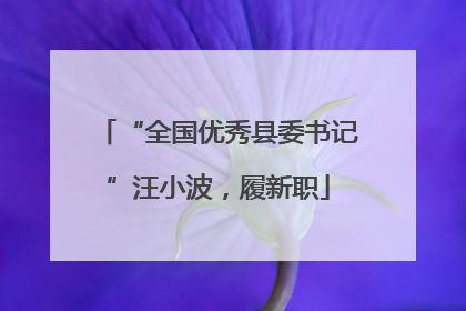 “全国优秀县委书记”汪小波，履新职