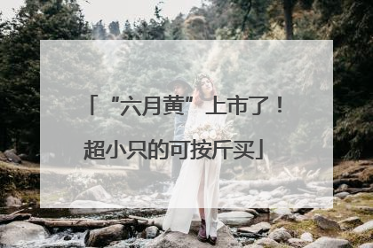 “六月黄”上市了！超小只的可按斤买