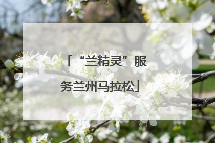 “兰精灵”服务兰州马拉松