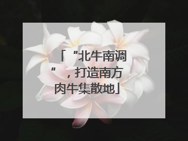 “北牛南调”，打造南方肉牛集散地