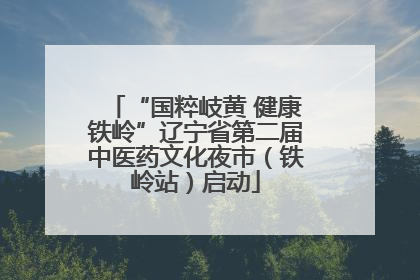 “国粹岐黄 健康铁岭”辽宁省第二届中医药文化夜市（铁岭站）启动