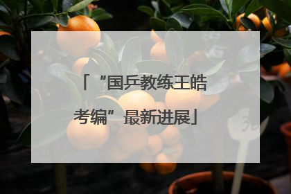 “国乒教练王皓考编”最新进展