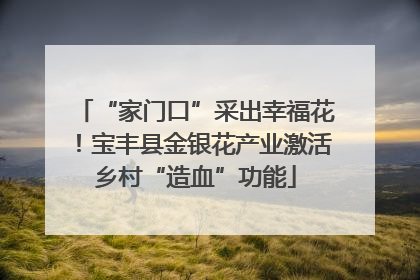 “家门口”采出幸福花！宝丰县金银花产业激活乡村“造血”功能