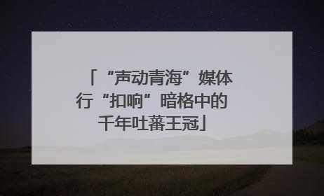 “声动青海”媒体行“扣响”暗格中的千年吐蕃王冠