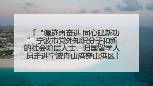 “循迹再奋进 同心建新功” 宁波市党外知识分子和新的社会阶层人士、归国留学人员走进宁波舟山港穿山港区