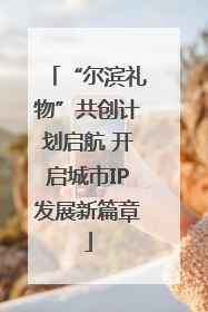 “尔滨礼物”共创计划启航 开启城市IP发展新篇章