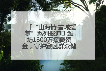 “山海情·雪域援梦”系列报道⑪ 潍坊1300万援藏资金，守护藏区群众健康“最后一公里”