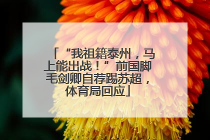 “我祖籍泰州，马上能出战！”前国脚毛剑卿自荐踢苏超，体育局回应