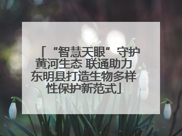 “智慧天眼”守护黄河生态 联通助力东明县打造生物多样性保护新范式