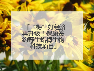 “梅”好经济再升级！保康签约野生蜡梅生物科技项目