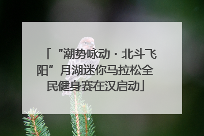 “潮势咏动・北斗飞阳”月湖迷你马拉松全民健身赛在汉启动