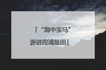 “海中宝马”游进霞浦盐田