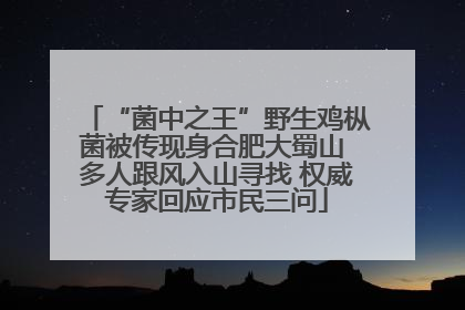 “菌中之王”野生鸡枞菌被传现身合肥大蜀山 多人跟风入山寻找 权威专家回应市民三问