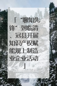 “聊知先锋”到临清、冠县开展知识产权赋能规上制造业企业活动