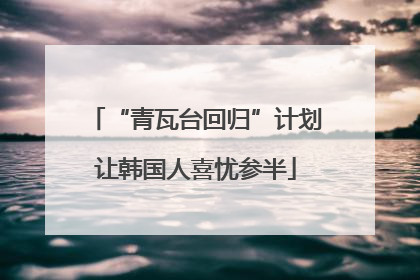 “青瓦台回归”计划让韩国人喜忧参半