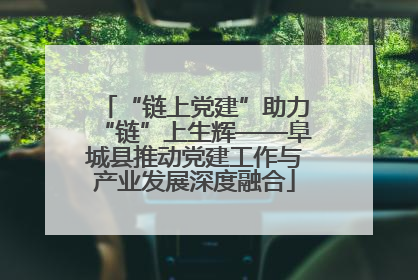 “链上党建”助力“链”上生辉——阜城县推动党建工作与产业发展深度融合